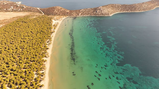 Image by thea apopsila