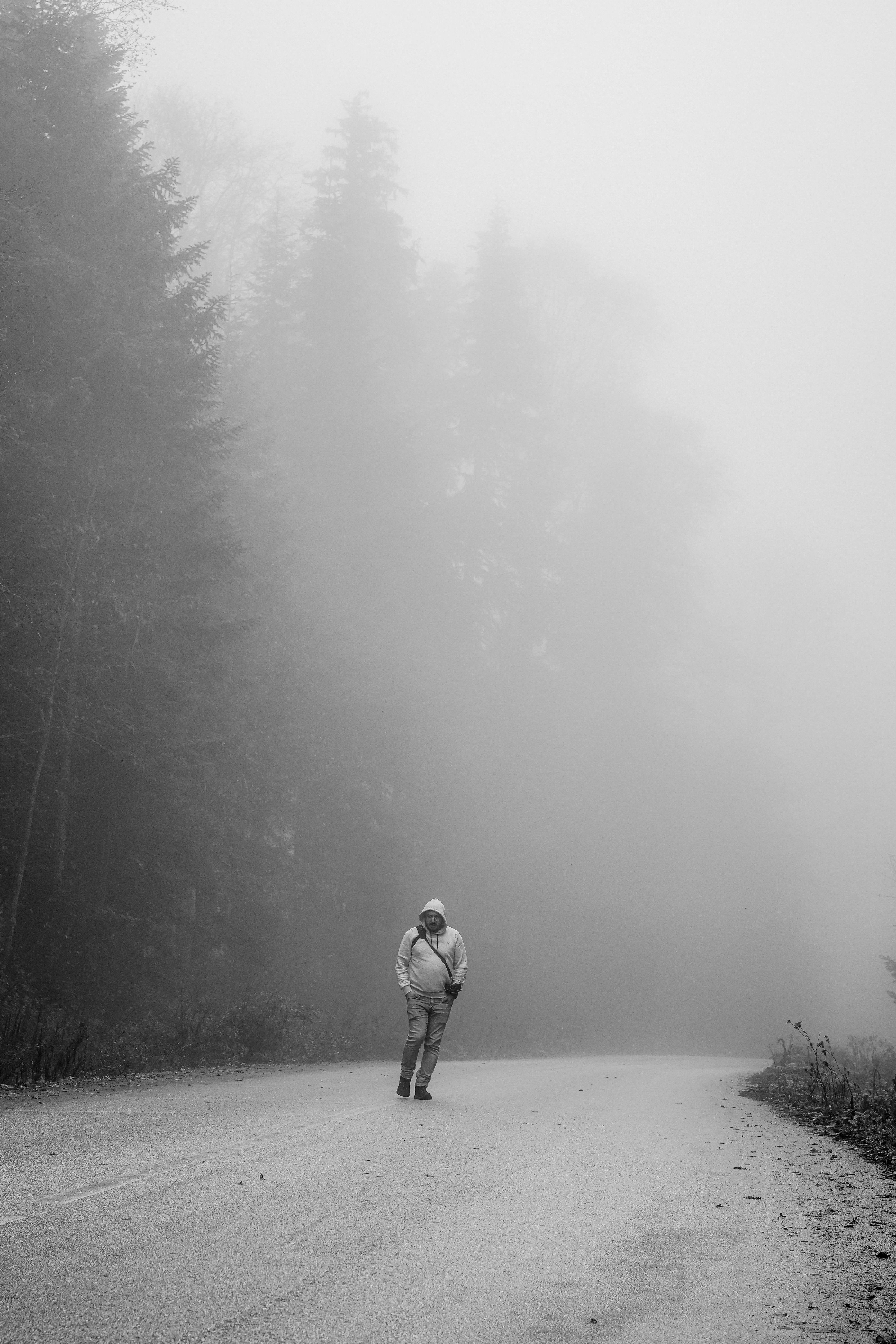 Solitary Figure Walking Through Foggy Forest Road · Free Stock Photo