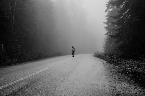 Free Mysterious black and white photo of a solitary figure walking on a foggy forest road in Bolu, Turkey. Stock Photo