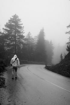 A lone person walks on a foggy forest road in Bolu, Türkiye, creating a mysterious ambiance.