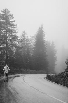 A solitary figure walks along a foggy road in Bolu, Türkiye, enveloped by dense forest and misty ambiance.