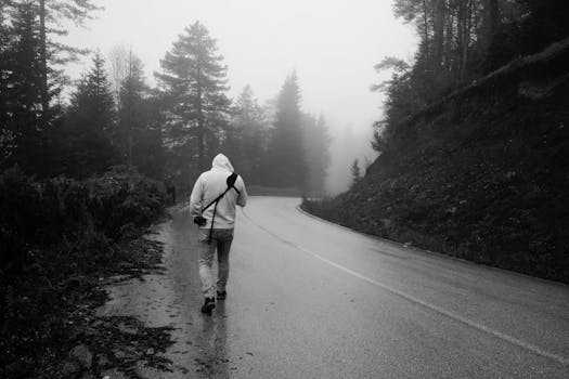 A person walks alone on a misty road through a foggy forest in Bolu, Turkey.
