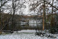 A peaceful snowy landscape with a lake surrounded by trees, captured in early winter.