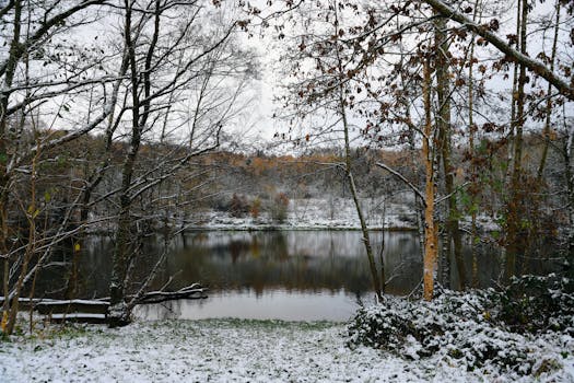 A peaceful snowy landscape with a lake surrounded by trees, captured in early winter.