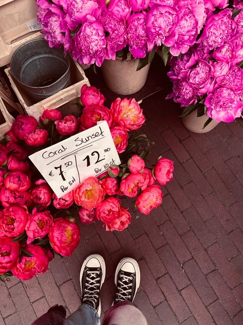 Free Colorful pink and coral peonies on display at a street flower market. Stock Photo