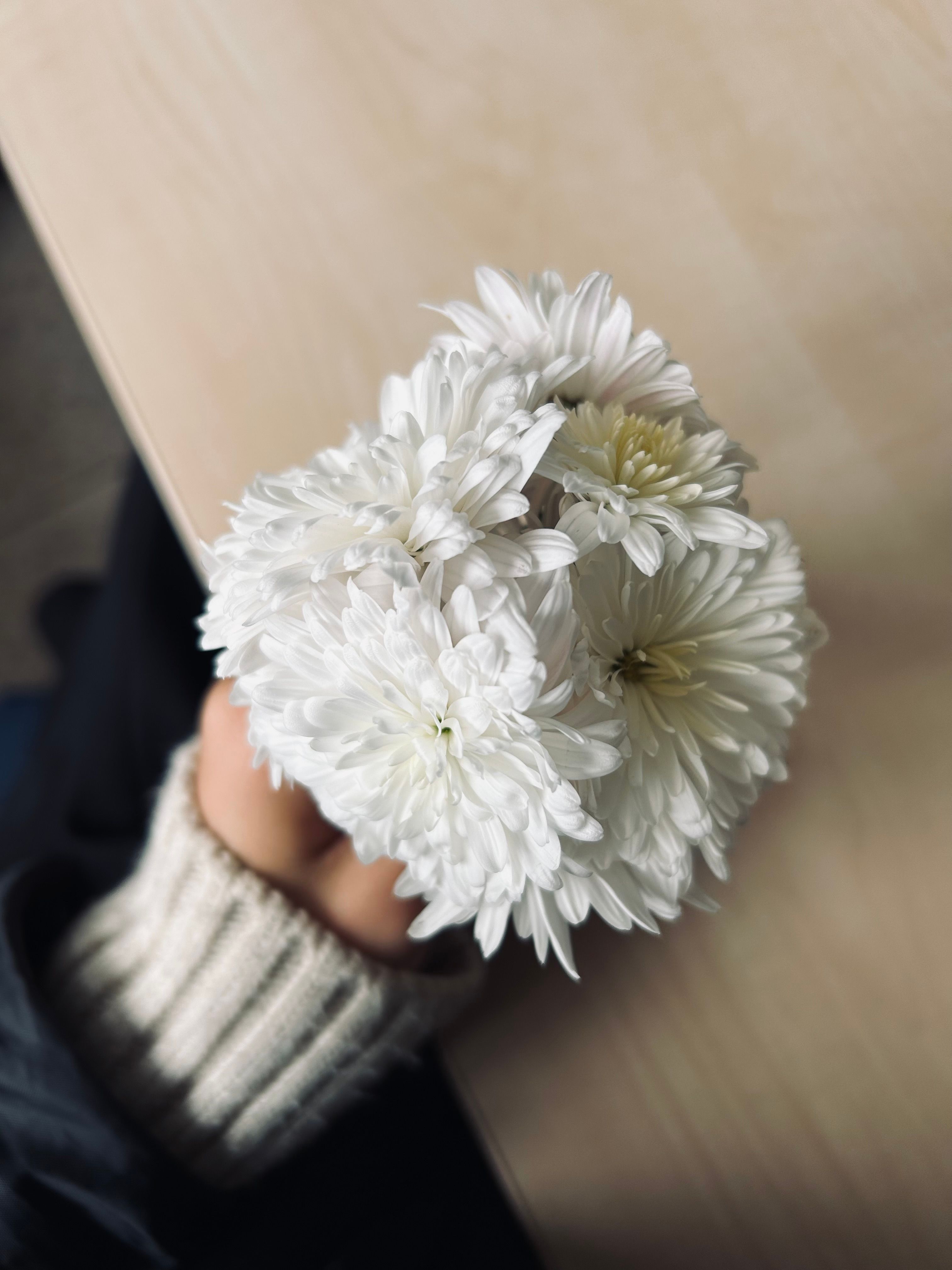 A hand holding a bouquet of white chrysanthemums on a wooden surface.