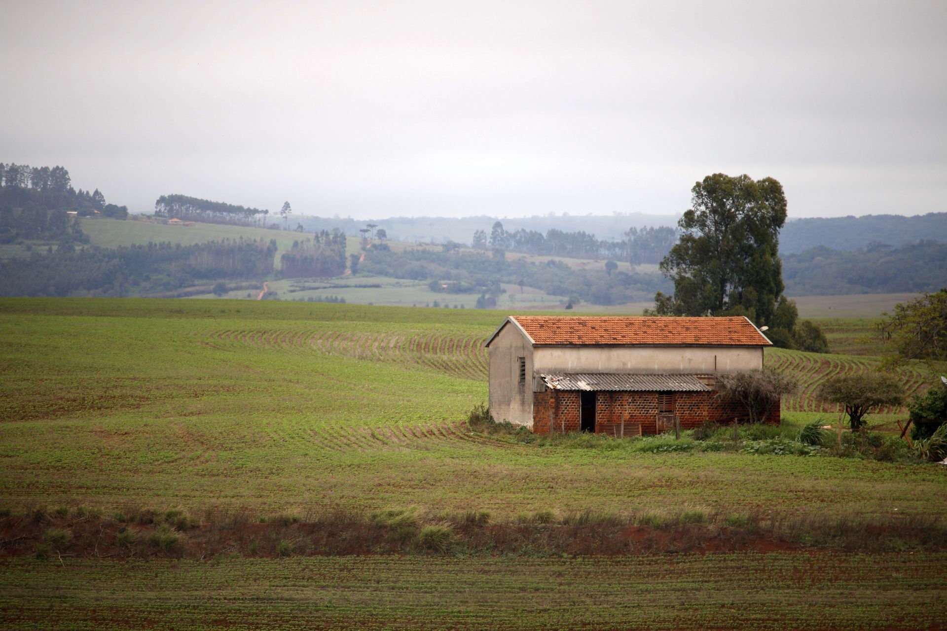 A peaceful image of a rustic barn set amidst rolling hills in Guaratuba, Paraná, Brazil showcasing rural charm.