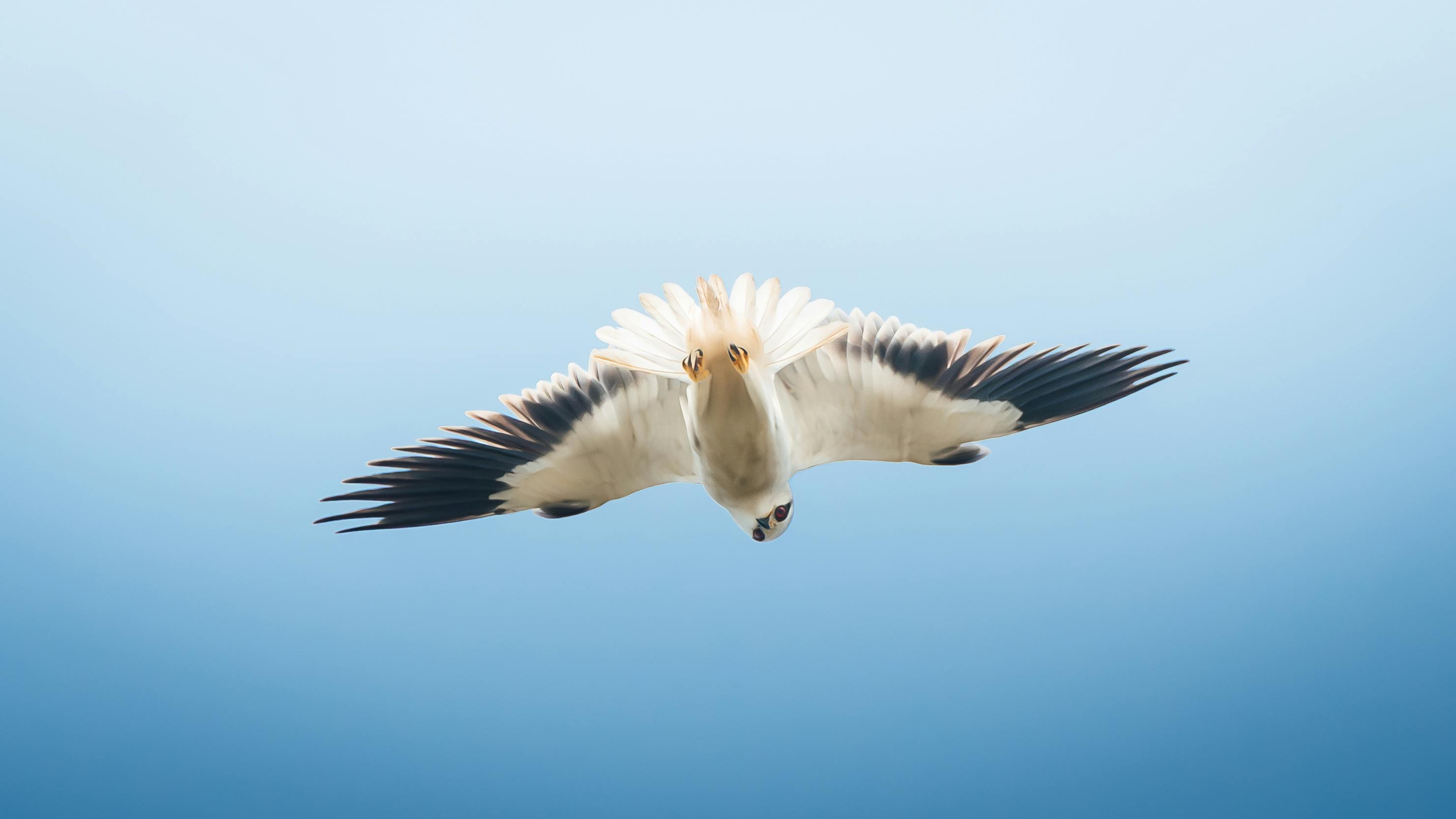 Applying for online loan