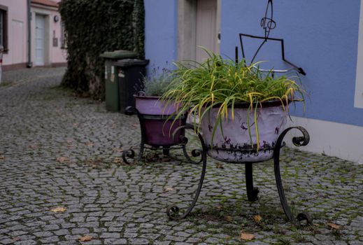 Elegant iron planters with vibrant plants on a quaint cobblestone street in Regensburg.