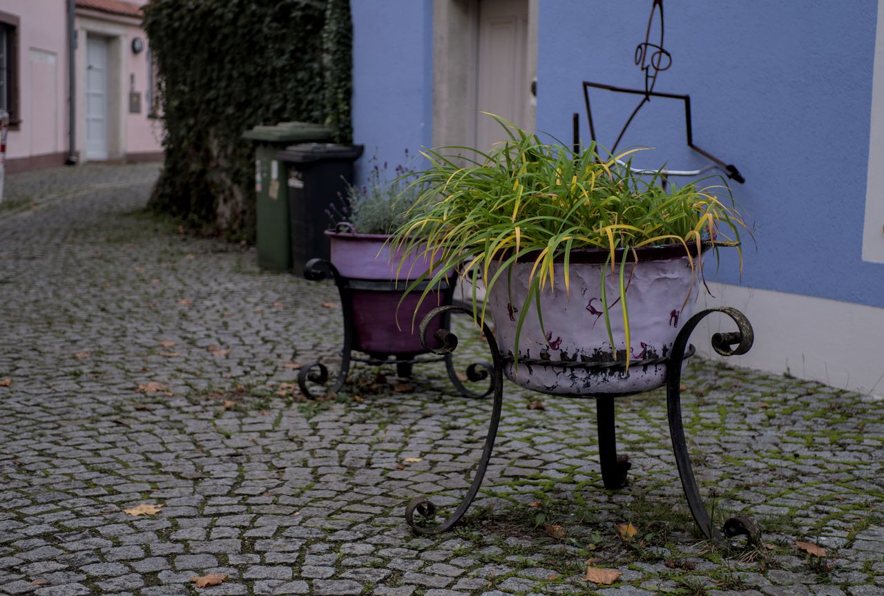 elegant iron planters with vibrant plants on a quaint cobblestone stre