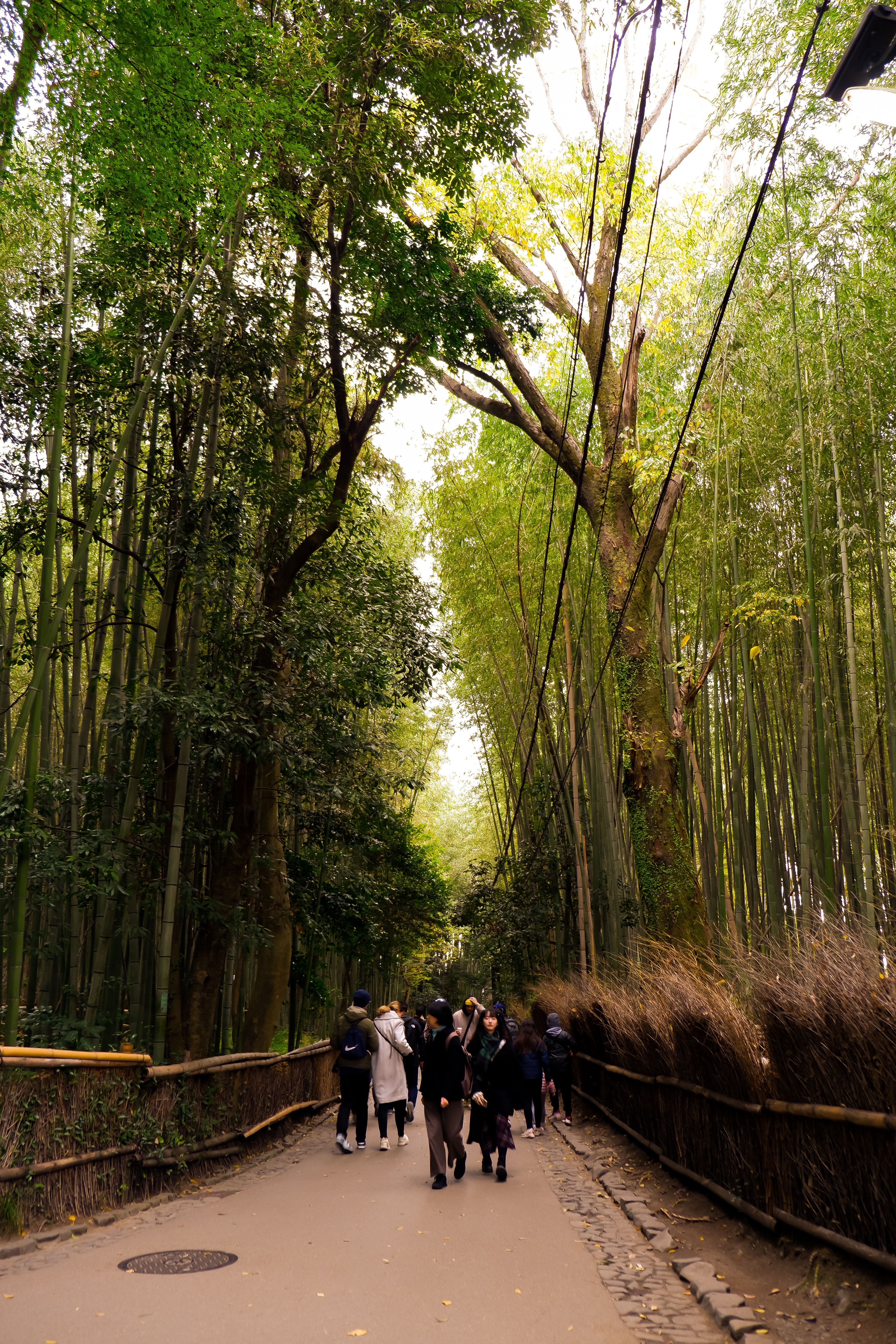 People in a Park · Free Stock Photo