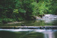 绿树成荫的森林溪流宁静宜人，营造出一片自然风光