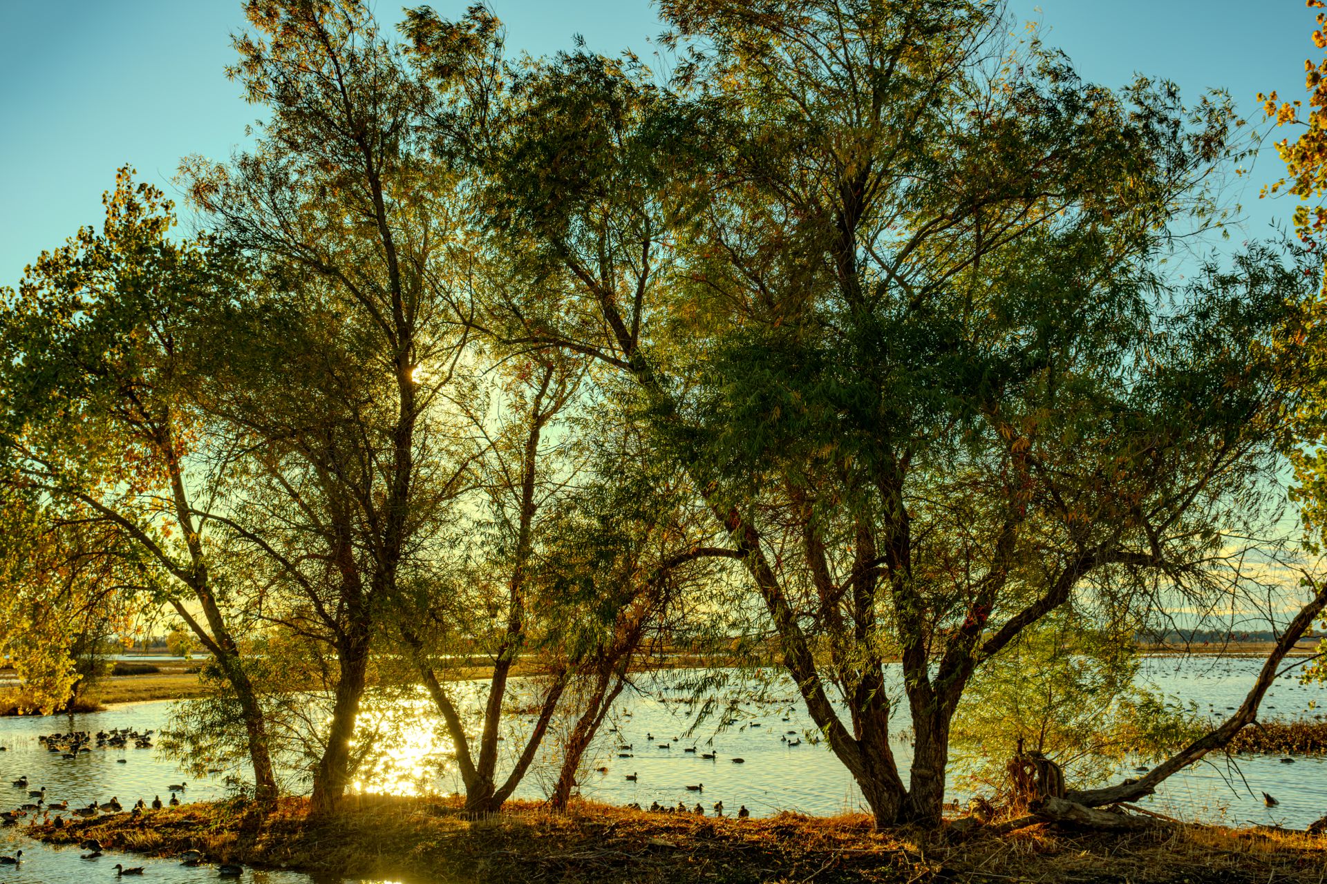 Llano Seco Wildlife Refuge