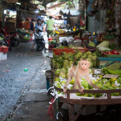 Foto d'estoc gratuïta de streetphotography