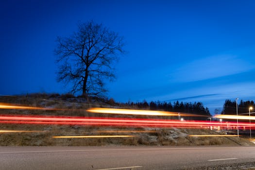 A captivating long exposure photo capturing car lights with a tree silhouette against a twilight sky.