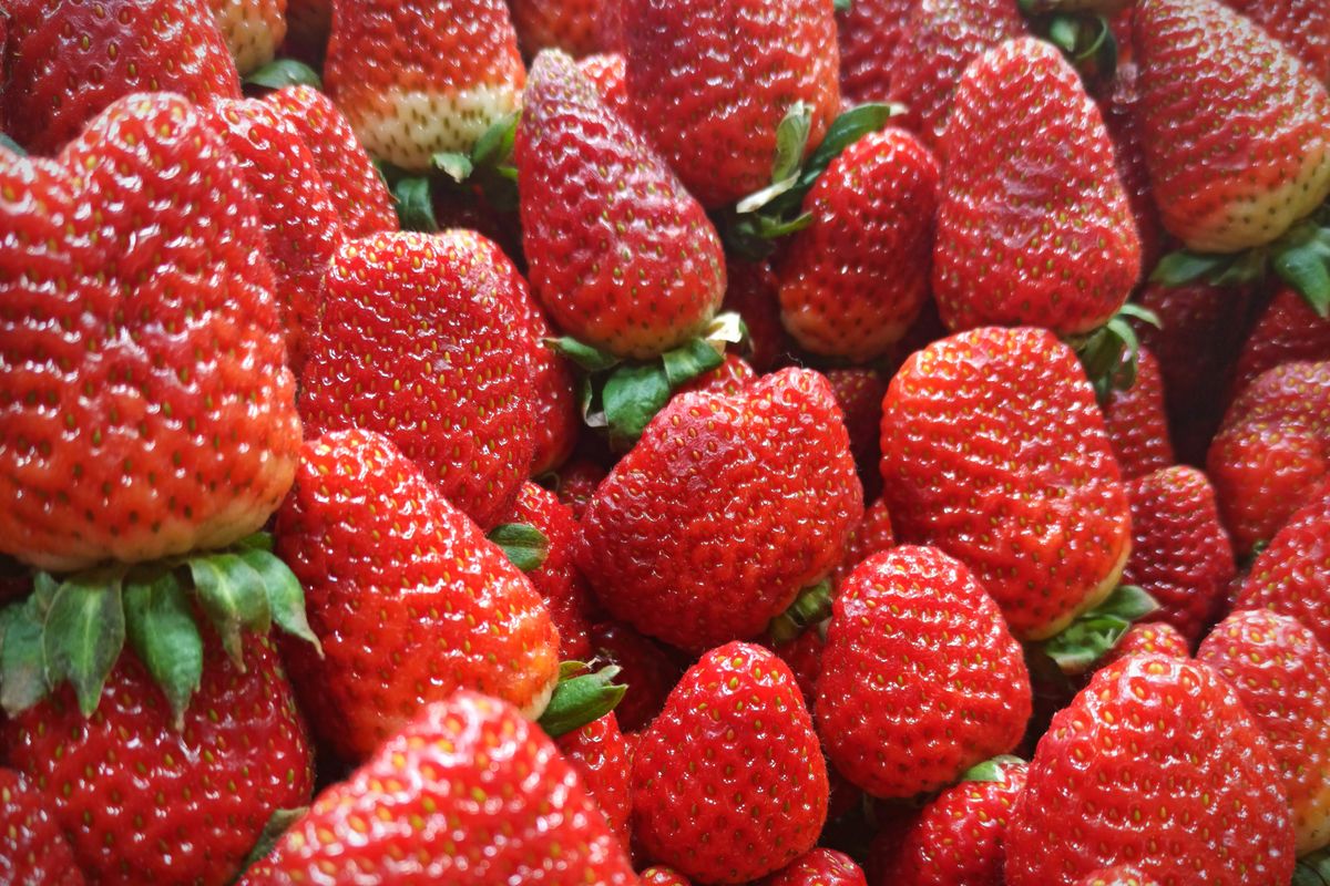 Fruits rouges : quels sont leurs bienfaits antioxydants - Valeurs nutritionnelles et profil santé des fruits rouges