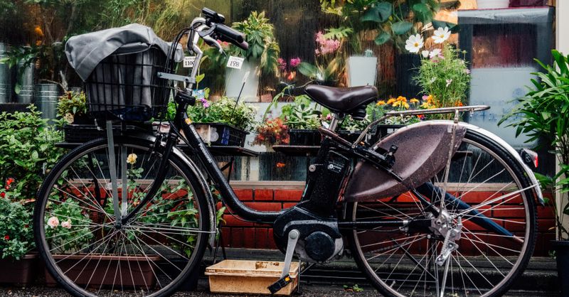 Vélo Cargo : Guide Achat et Prix 2026