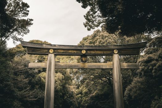 A traditional wooden Torii gate surrounded by lush forest, symbolizing the entrance to a sacred space in Japan.