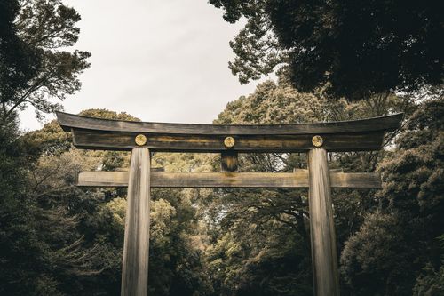 Free A traditional wooden Torii gate surrounded by lush forest, symbolizing the entrance to a sacred space in Japan. Stock Photo