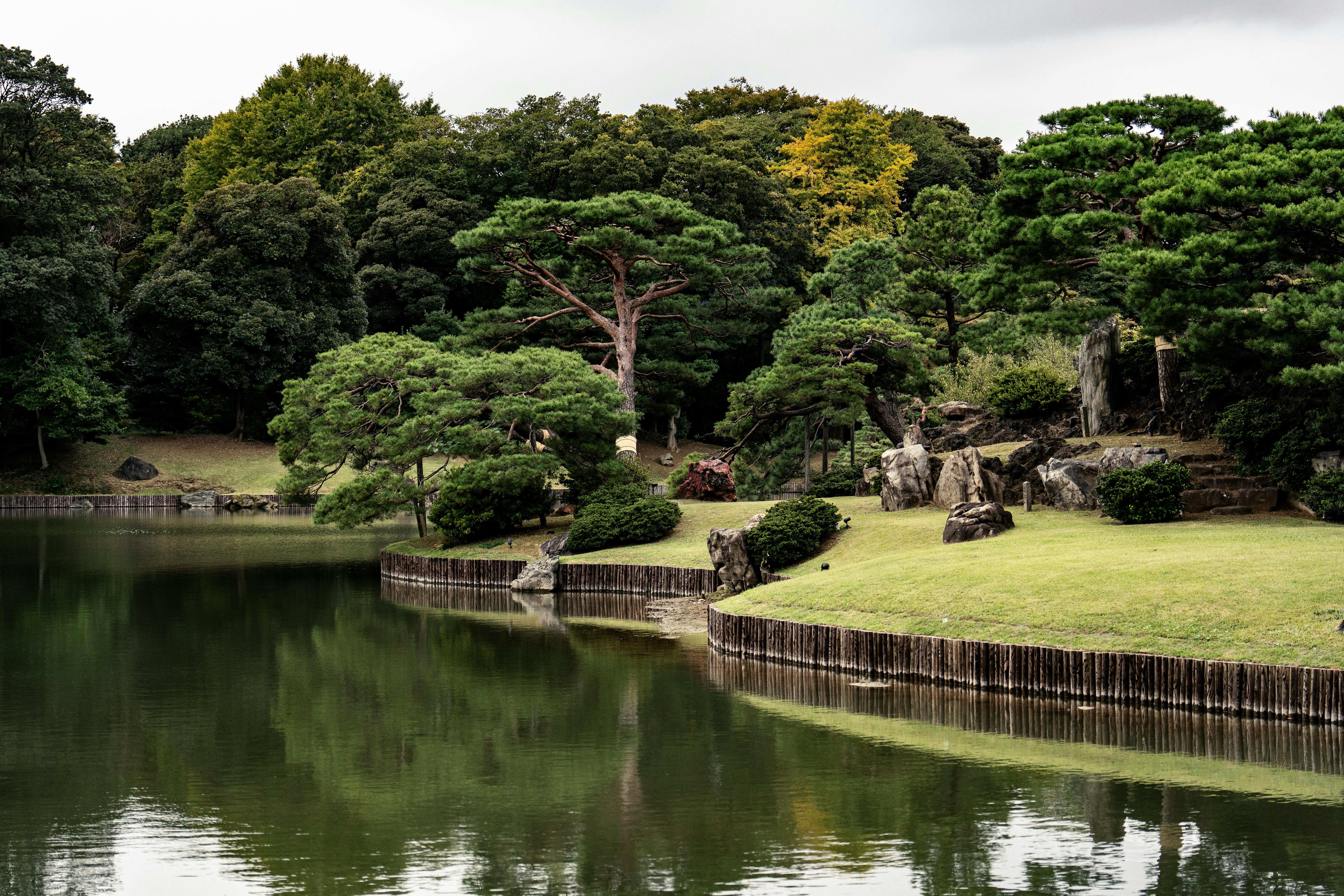 New Zealand Joins Australia, Japan, Georgia, Fiji, South Korea and More as Global Travel Disruptions Escalate — Photo by G N 