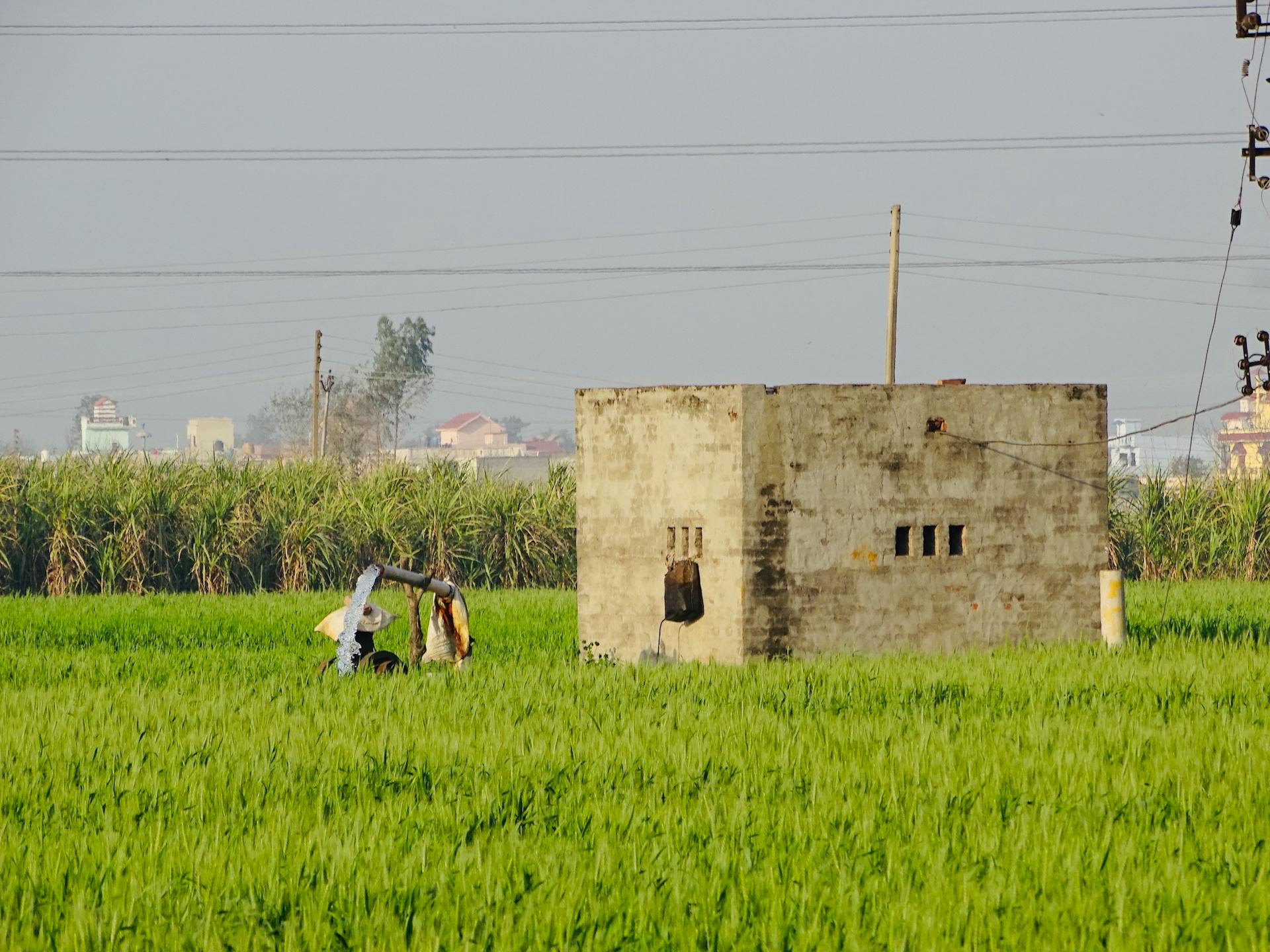 A man working on a pump in a lush green rural farmland setting.
