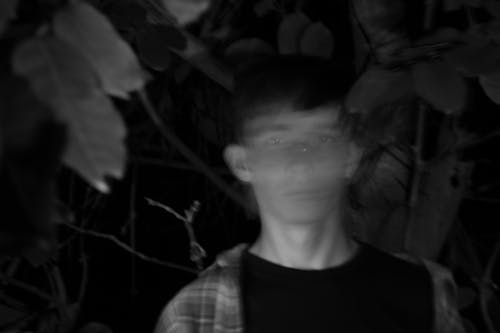 Darmowe zdjęcie z galerii z chłopak, liście, mężczyzna
