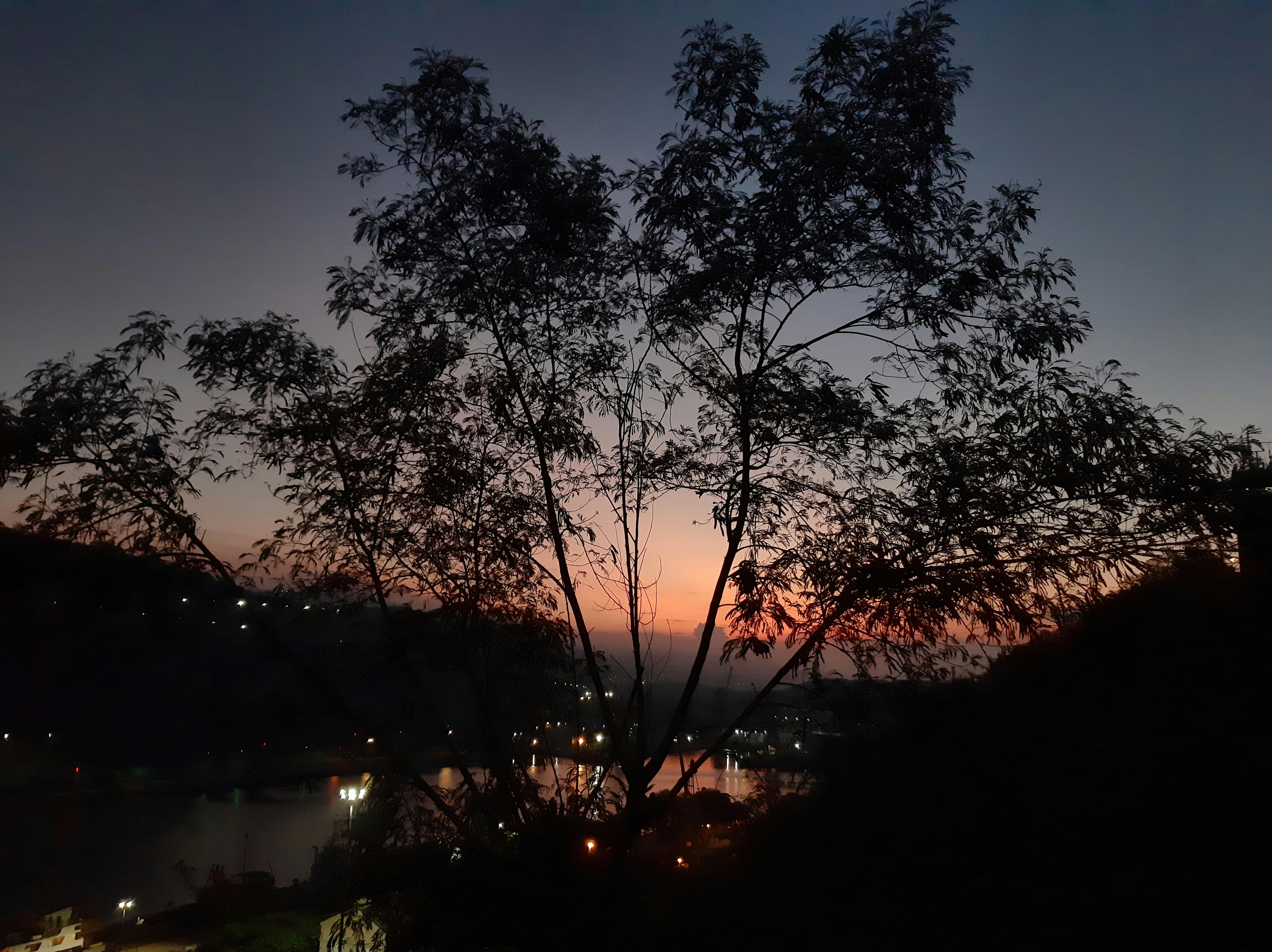 Difference Between Cayenne And Cayenne Coupe Difference