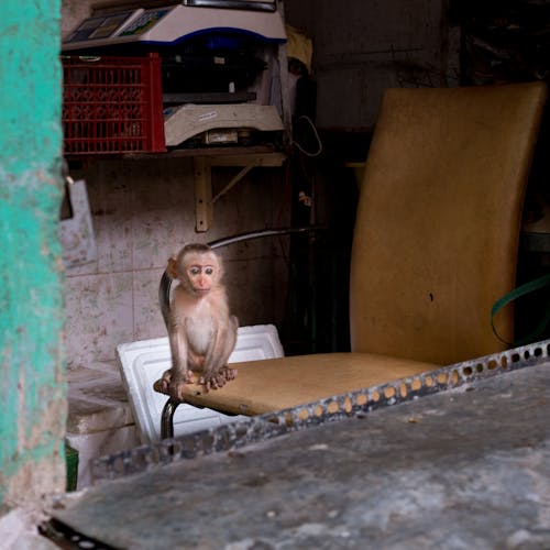 Foto d'estoc gratuïta de streetphotography