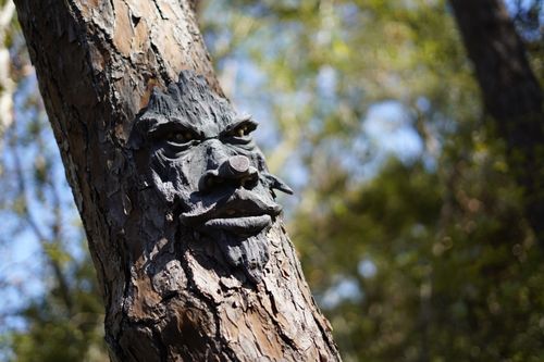 Free A whimsical tree face sculpture attached to a tree trunk in a sunny, wooded area in Largo, Florida. Stock Photo