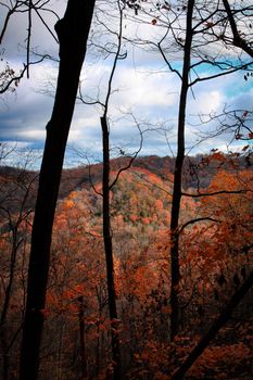 A picturesque autumn scene of vibrant forested hills with orange leaves and dramatic skies.