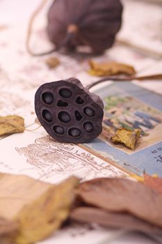 Dried Lotus Seeds (Hat Sen Say Kho)
