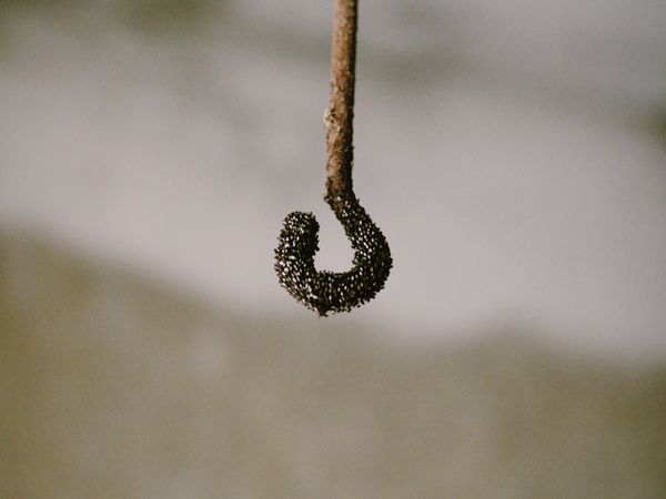 Spider Fittings, image 15 of 18