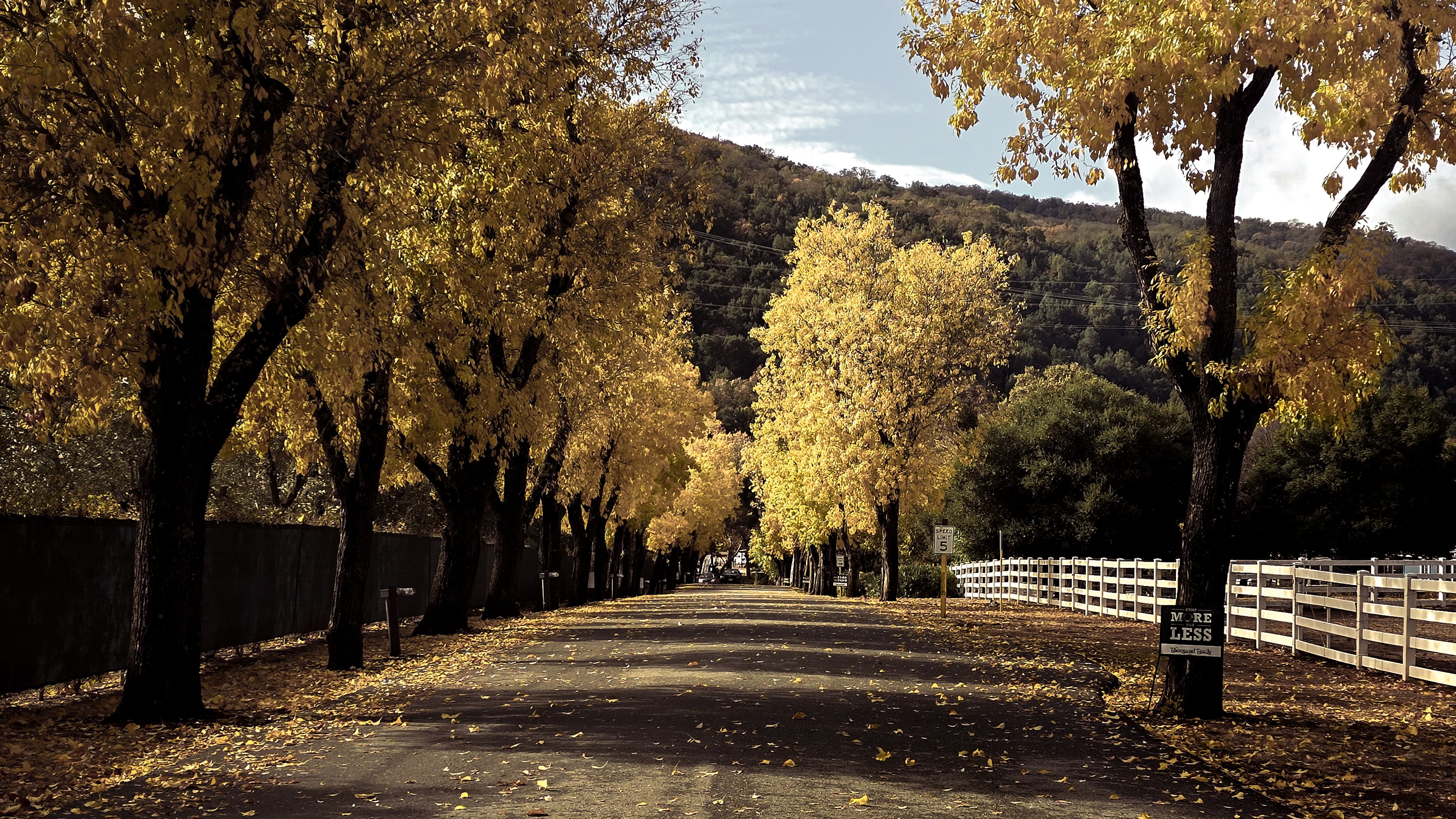 Healdsburg — Healdsburg