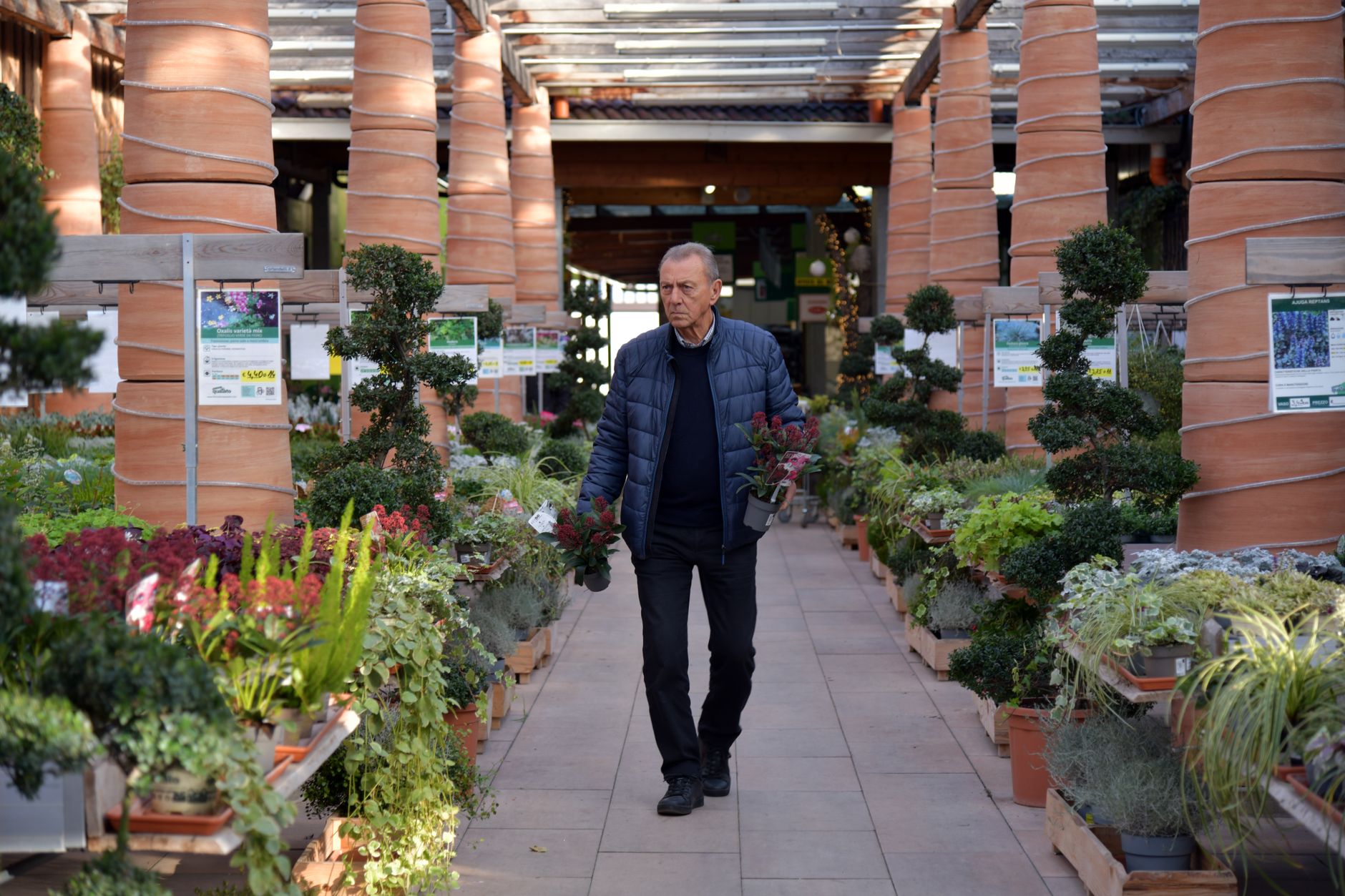 Garden Brands You'll See at Home Depot Senior man exploring a vibrant garden center filled with diverse plants and greenery