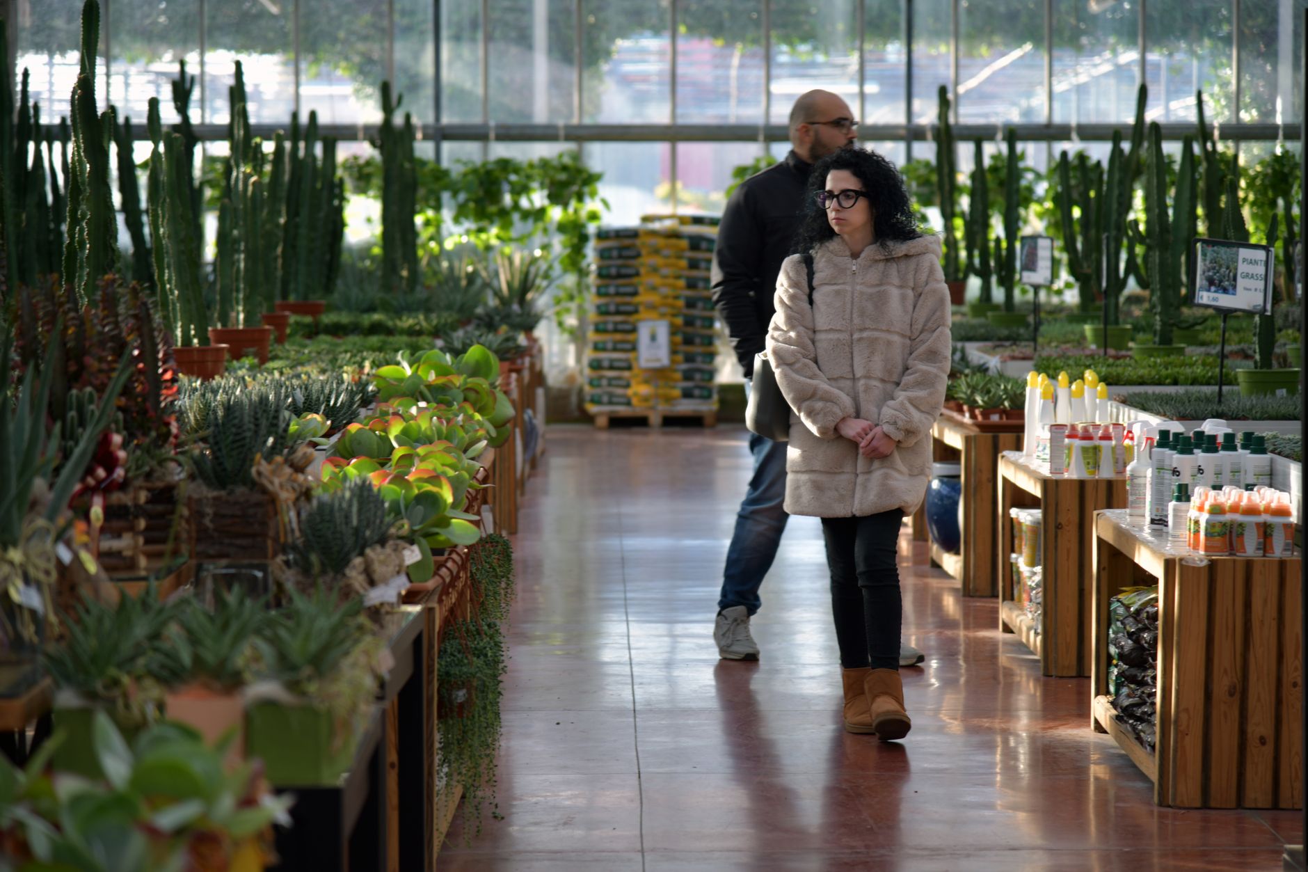 Maximizing Revenue and Utility through Wintergarden Shops