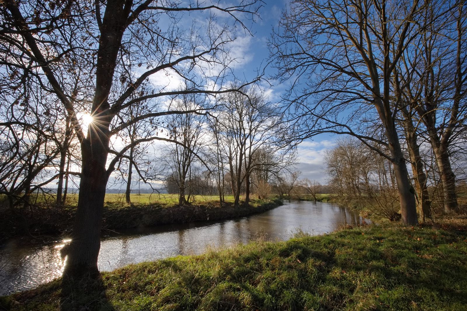 Sunlit river lined with dense trees.