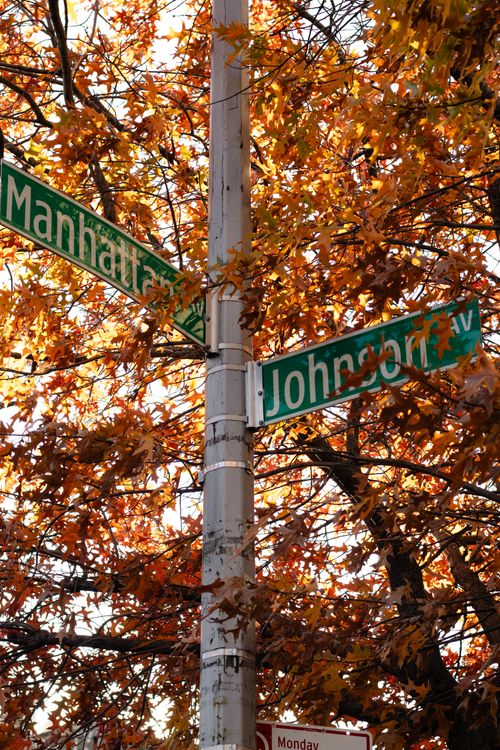 Fall Town Sign Autumn Street Signs with Fall Foliage · Free Stock Photo