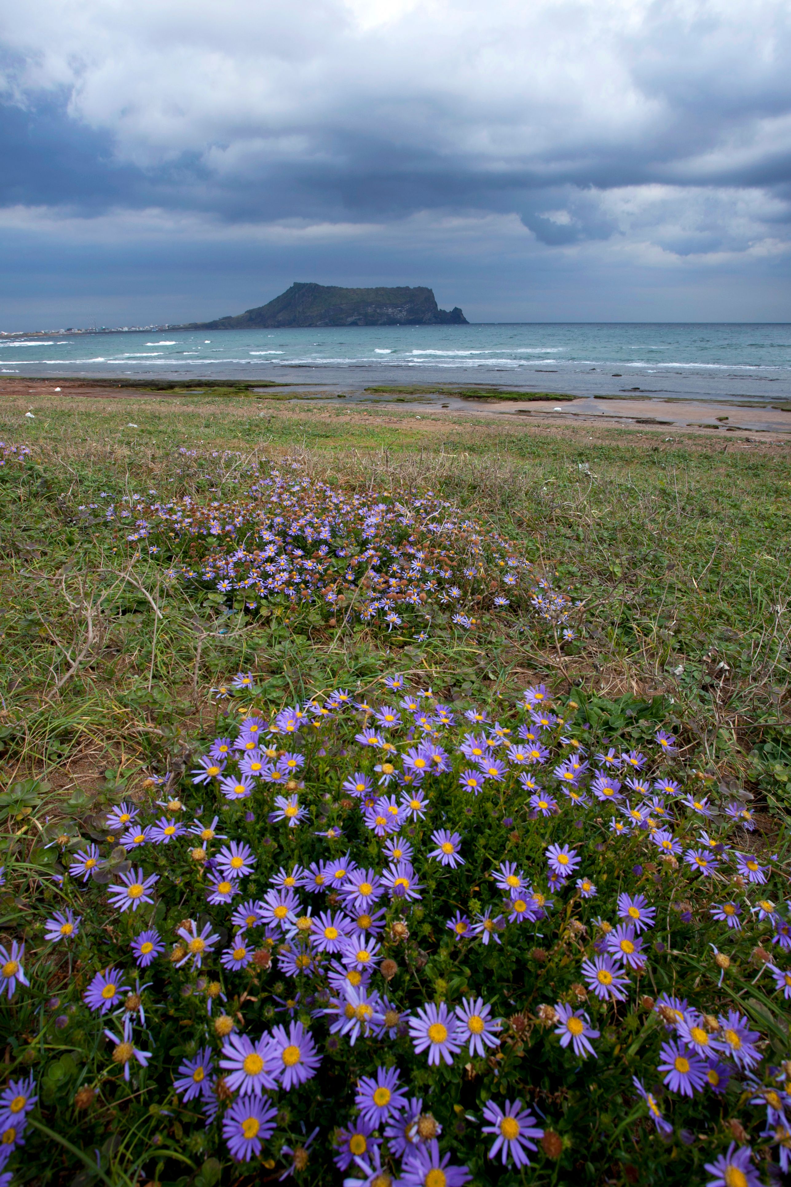 jeju seongsan ilchulbong cloudy