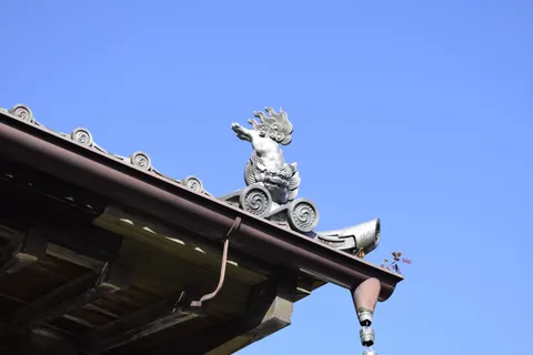 Matsushima and Sendai Private Day by Car with a Licensed Guide