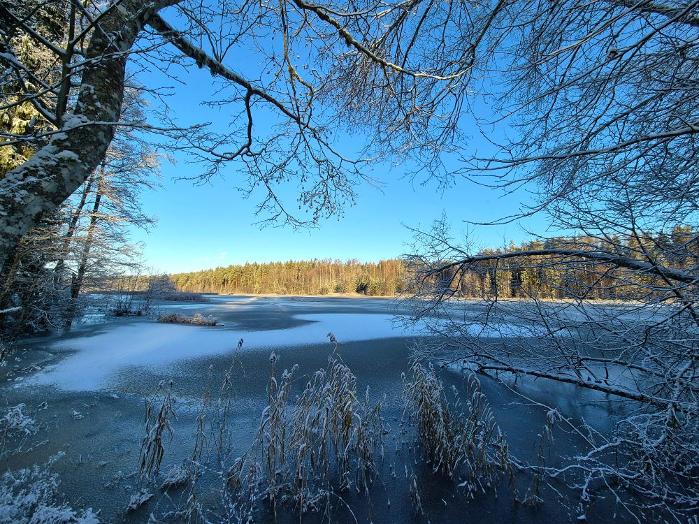 Serene Winter Landscape with Frozen Lake · Free Stock Photo