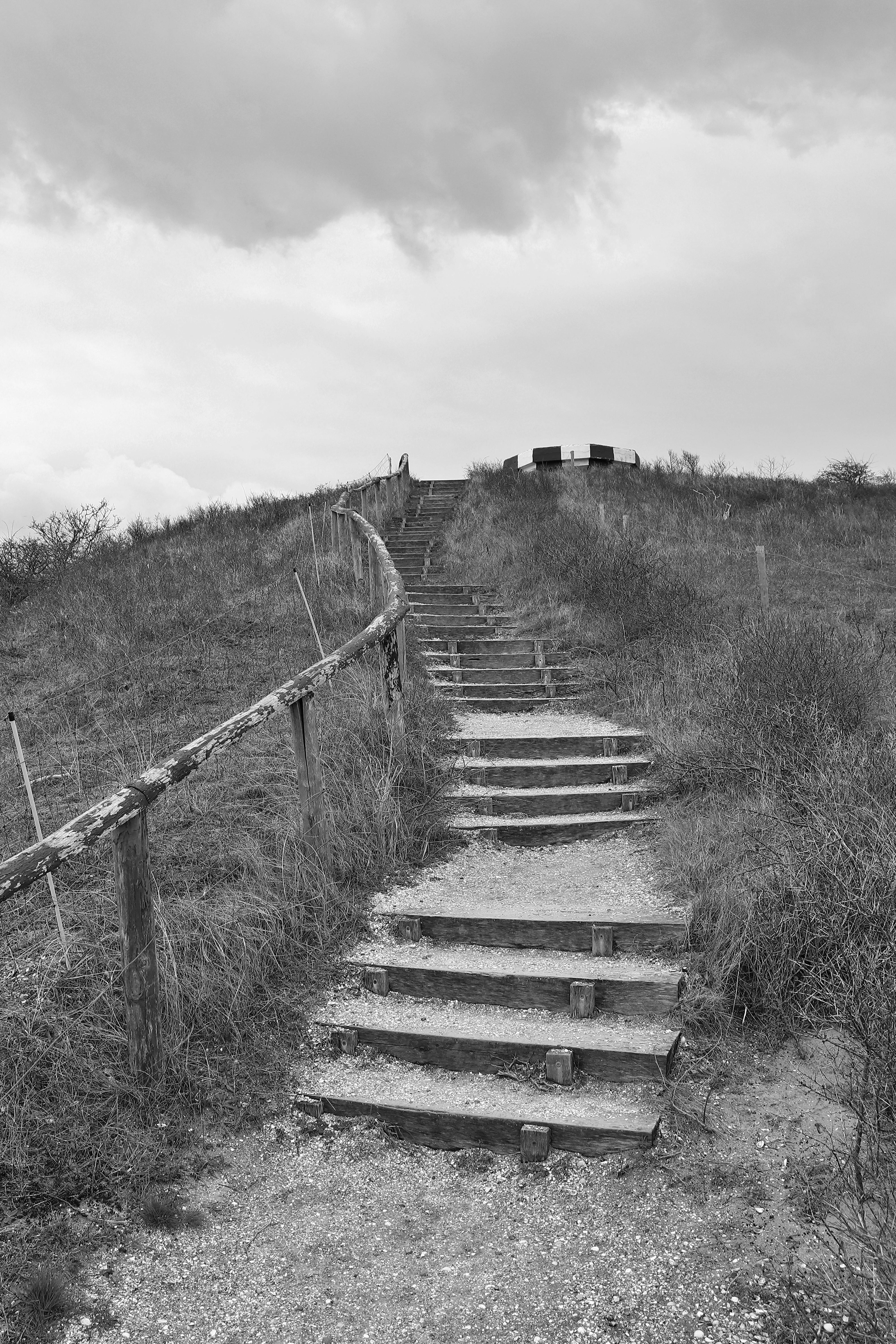 청구 진행 단계 이미지