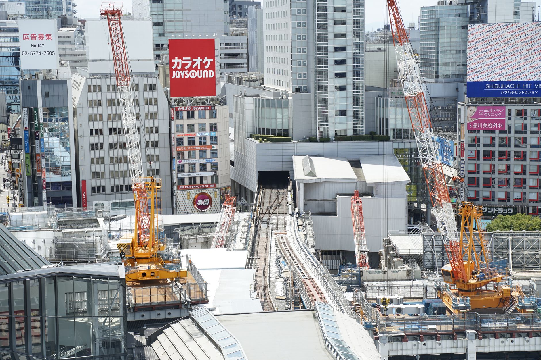 東京の花屋が人気の理由