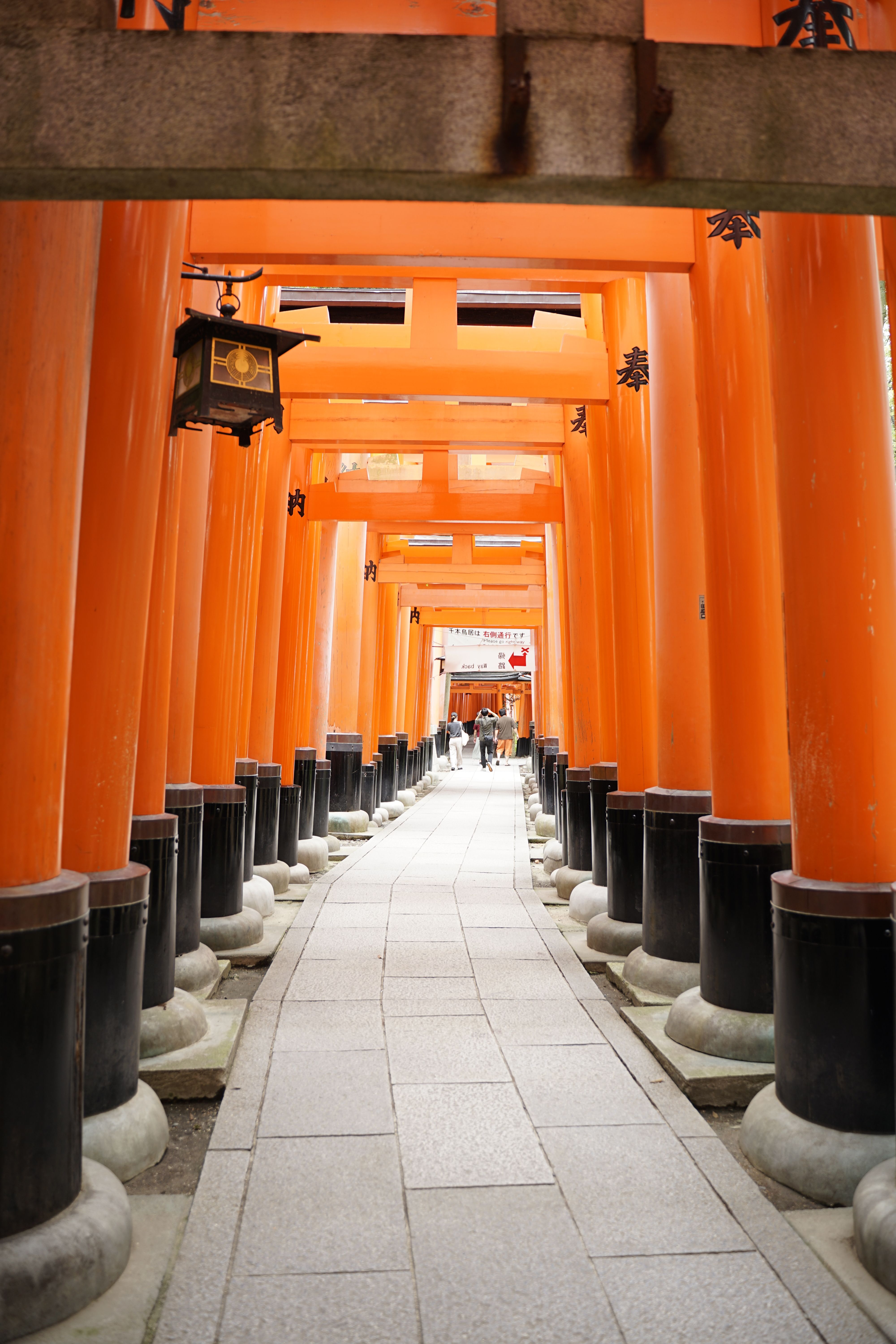 Colorful Torii Gates of Fushimi Inari Shrine in Kyoto · Free Stock Photo