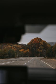 A scenic drive through autumn foliage with colorful hills ahead.