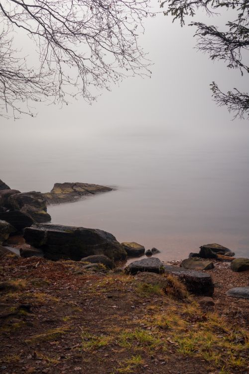Free Serene fog-covered lake with rocky shore, captured in the tranquil early morning light. Stock Photo