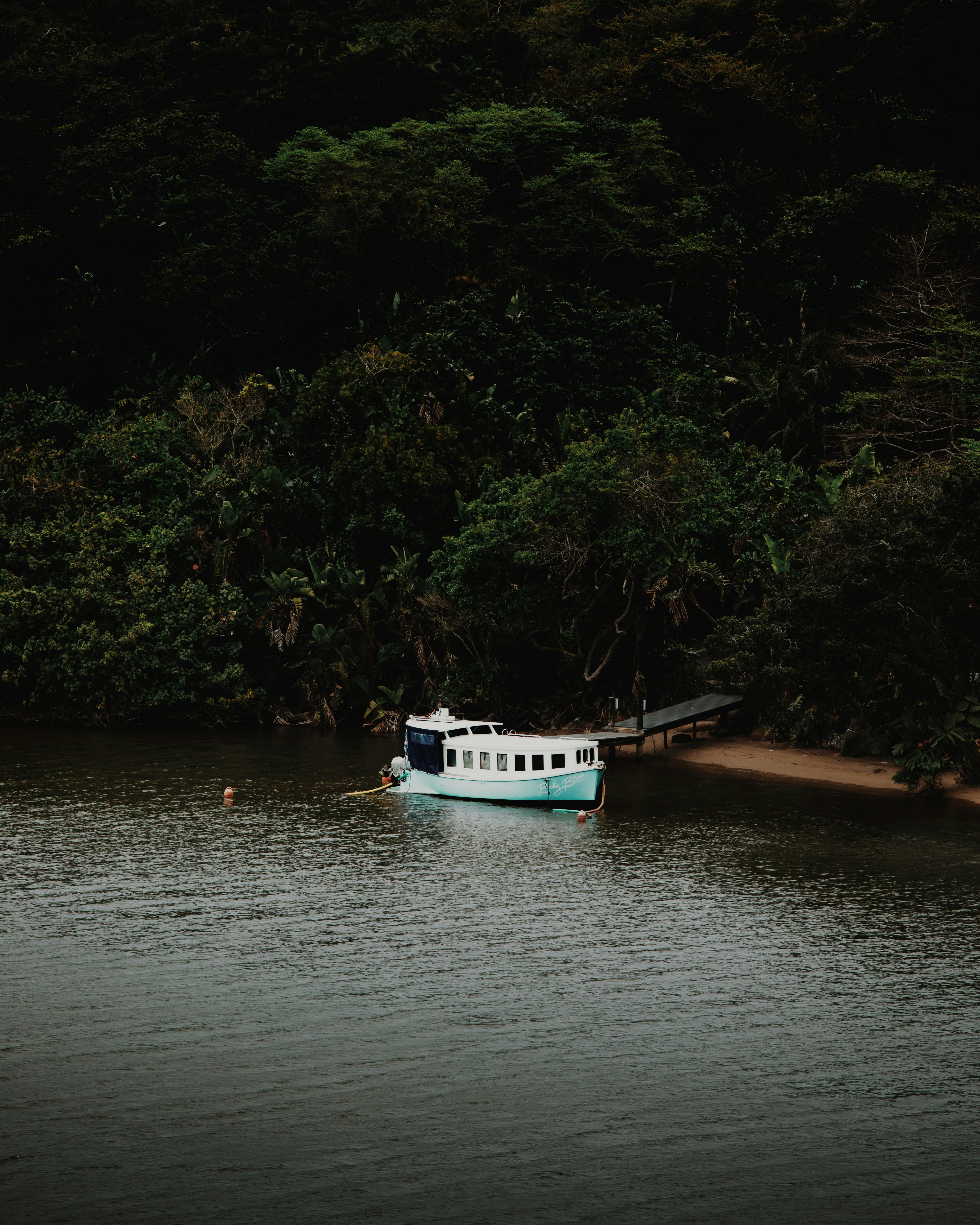 A picturesque boat anchored in a lush South African river landscape.