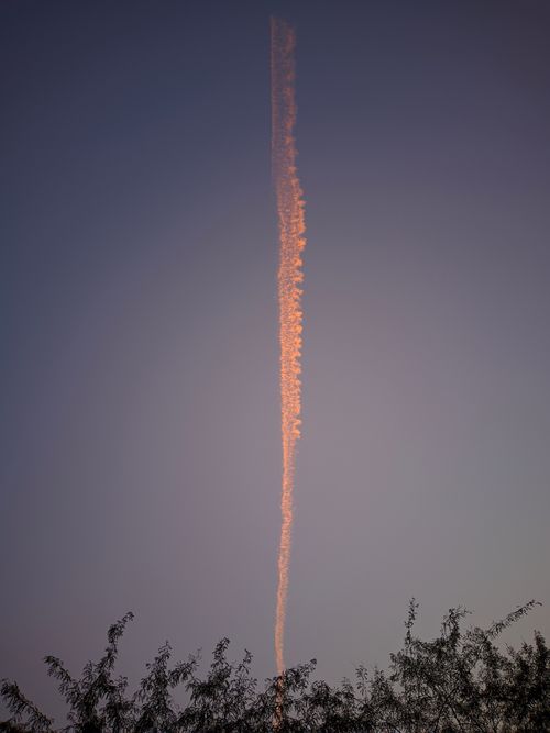 Free A vibrant contrail streaks vertically against a twilight sky over foliage in India. Stock Photo