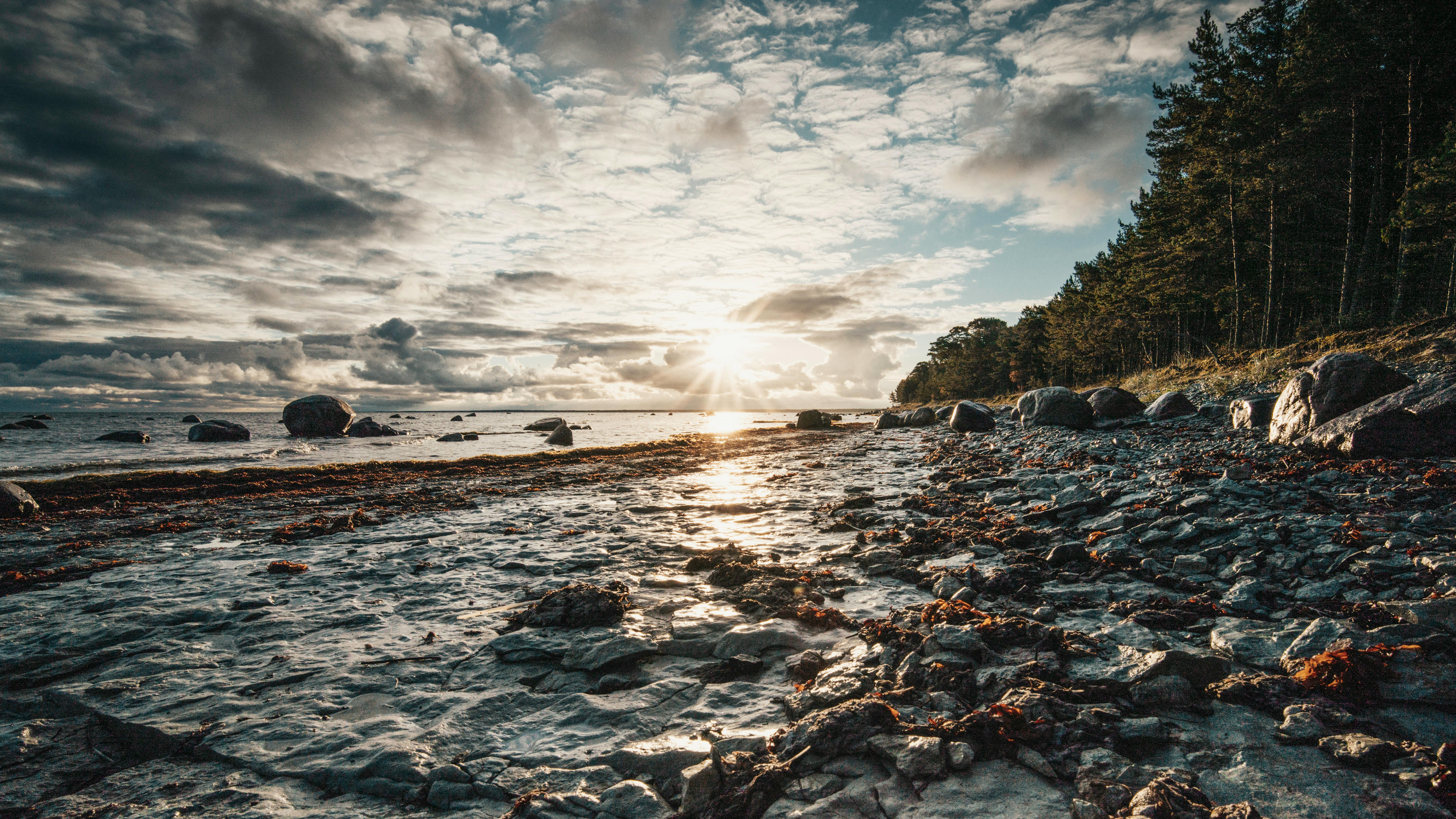 Explore this coastal sunrise scene featuring rocky terrain and a lush forest background.