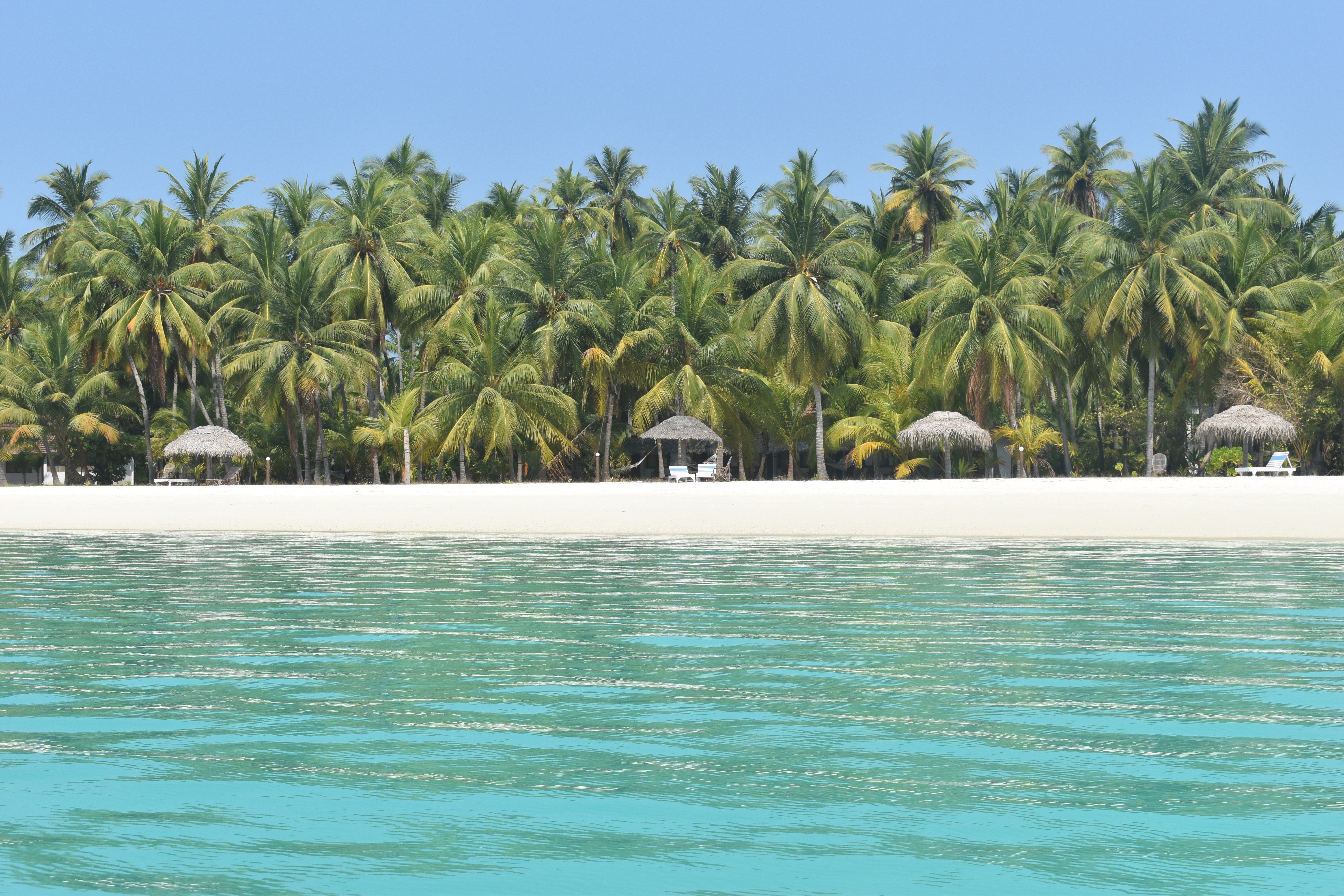 Secluded Palm Bay view 3
