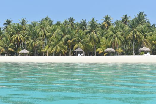 Idyllic beach scene with turquoise waters and lush palm trees on a sunny day.